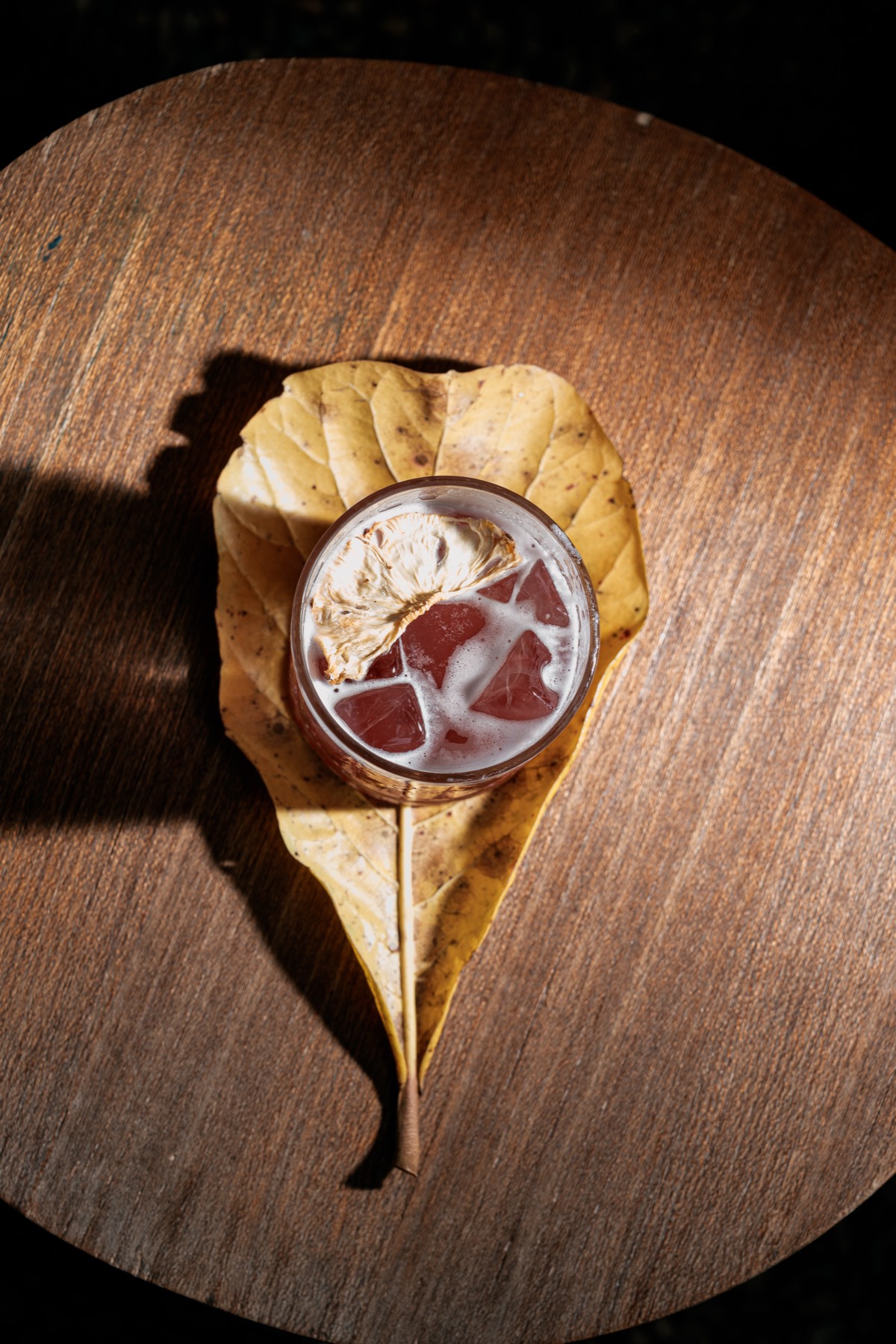 Cocktail styled on a fallen leaf at Ocy&aacute;, a Michelin-starred restaurant in Rio de Janeiro