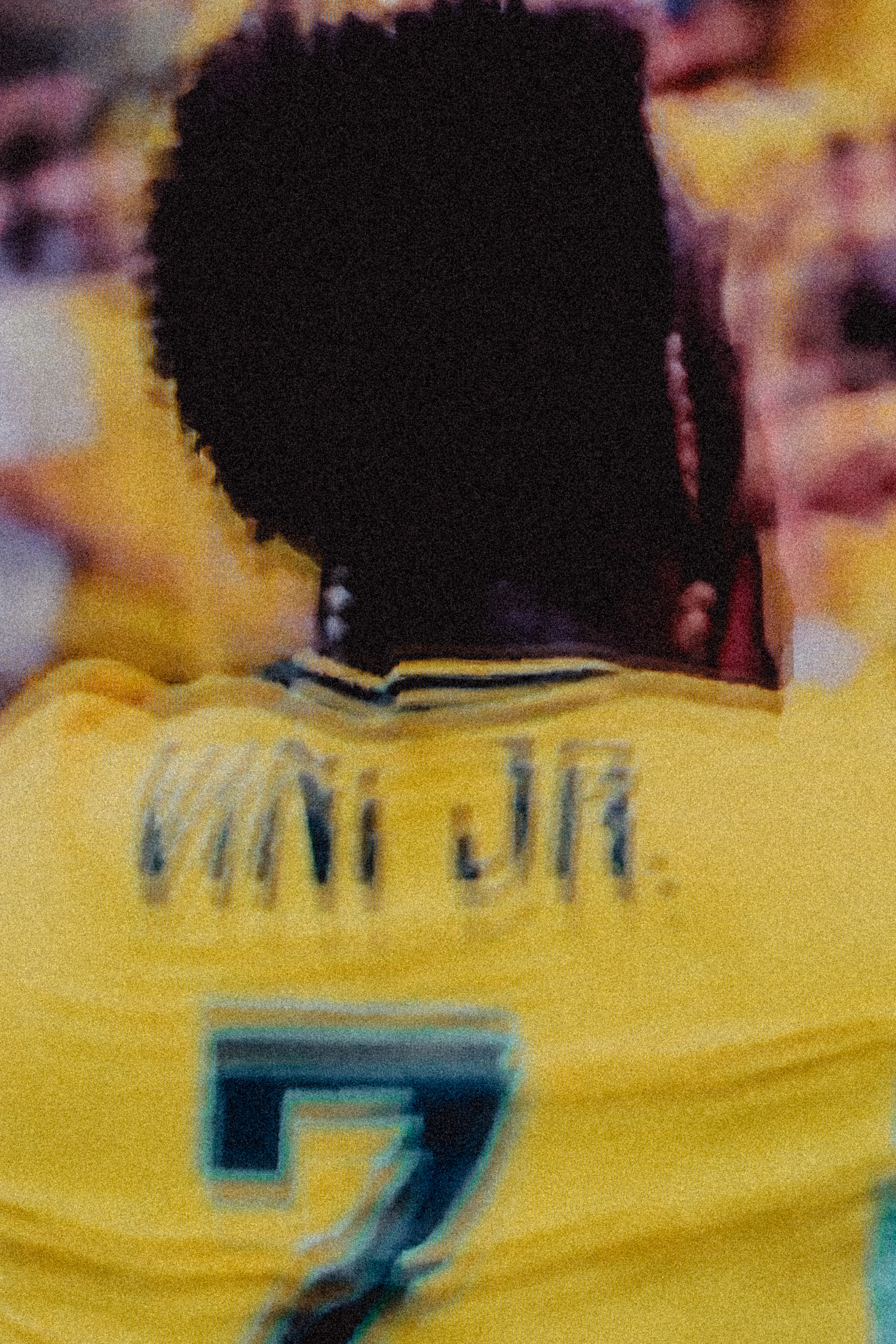 Fans during a World Cup screening